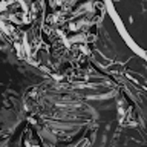 Meet your Posher, Gia